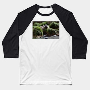 Southern Elephant Seal in the Tussock Grass, Macquarie Island Baseball T-Shirt